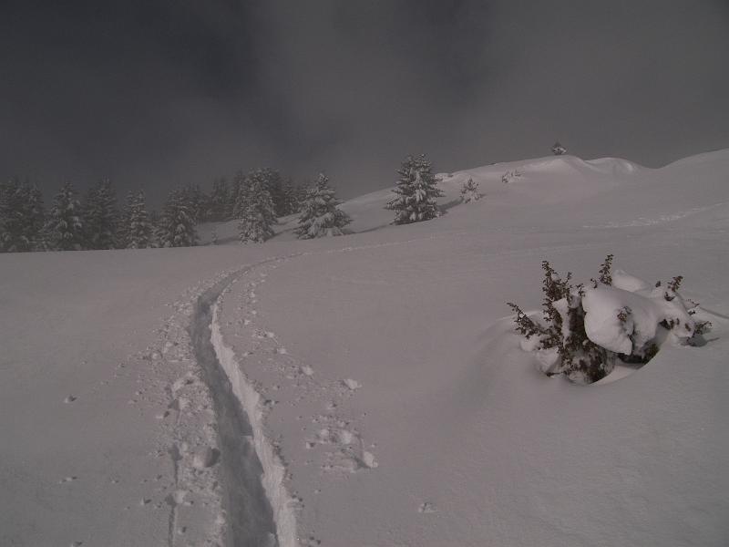 Photo 003 Une trace dans la peuf, sapins chargés de neige, le brouillard qui se déchire ! Encore une belle journée !